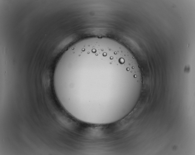 X0000101700120200807241442