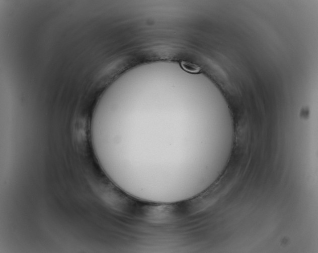 X0000101700122200807241442