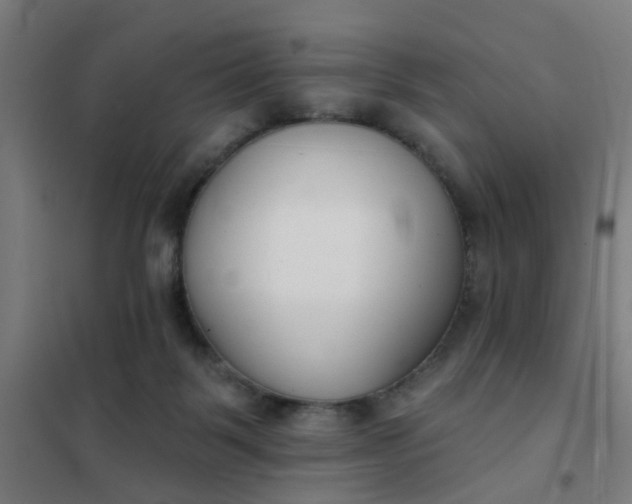 X0000101700123200807241442