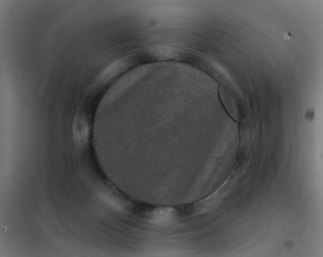 X0000101700124200807241442