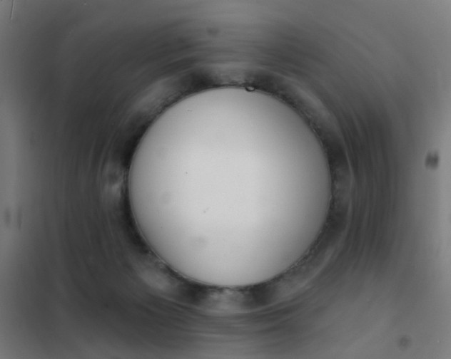 X0000101700125200807241442