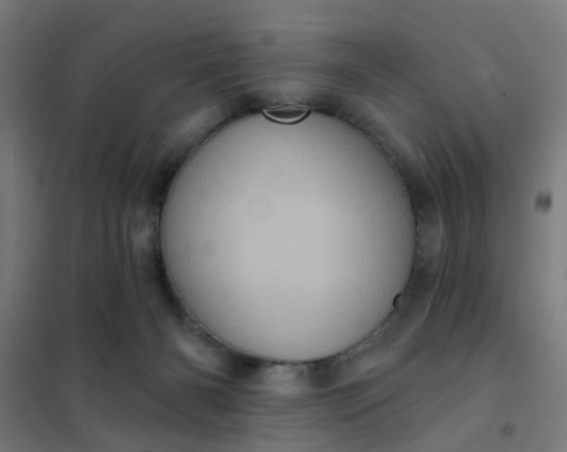 X0000101700126200807241442