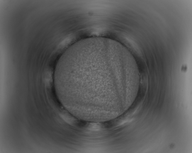 X0000101700127200807241442