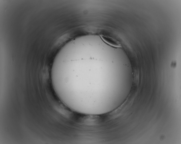 X0000101700128200807241442