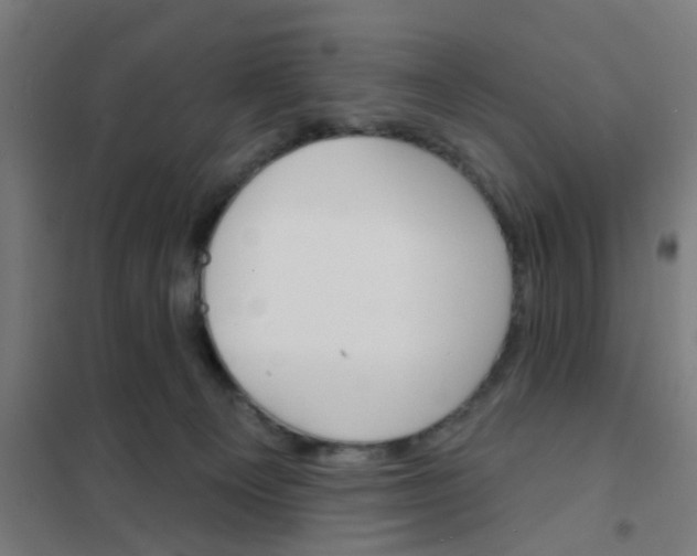 X0000101700129200807241442