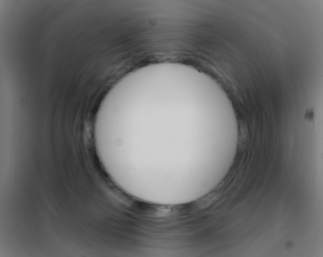 X0000101700130200807241442