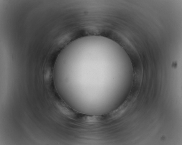 X0000101700134200807241442