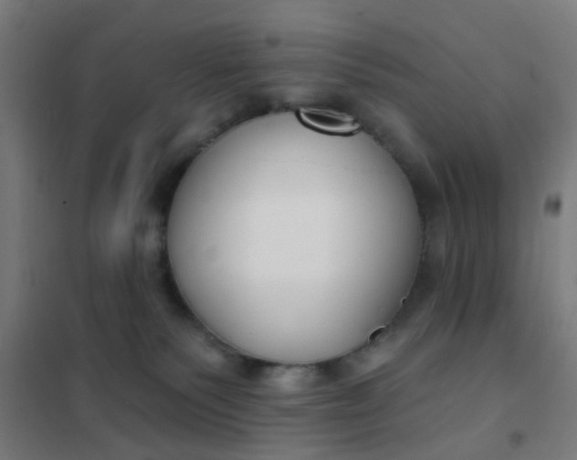 X0000101700135200807241441