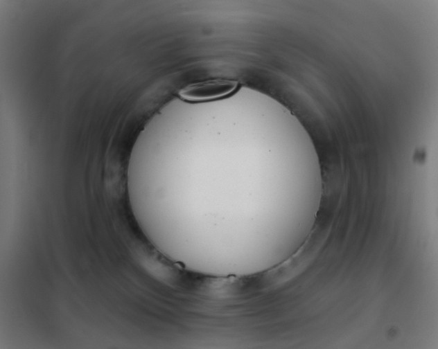 X0000101700136200807241441