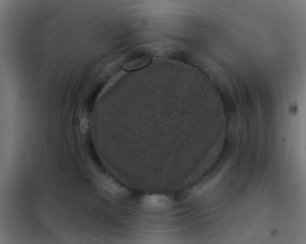 X0000101700137200807241441