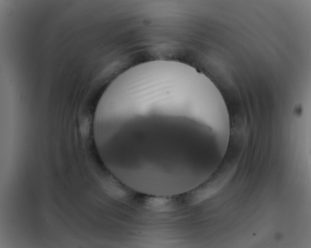 X0000101700139200807241441