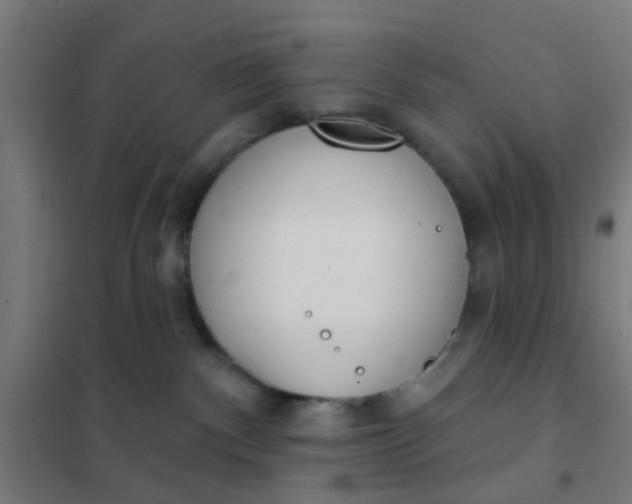 X0000101700140200807241441