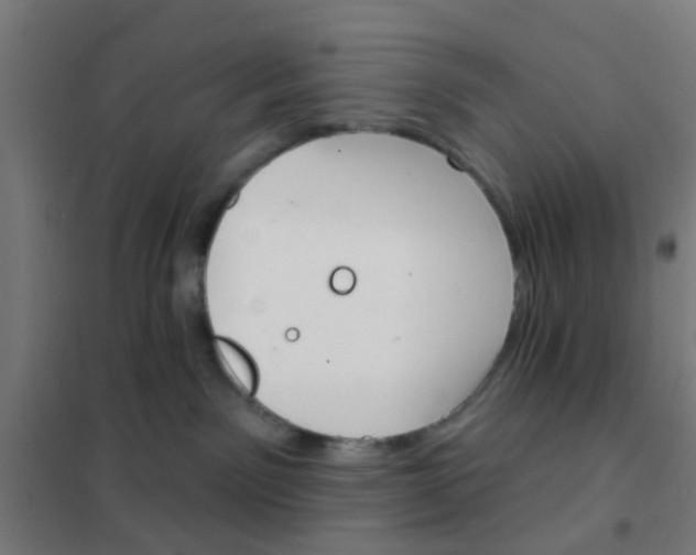 X0000101700141200807241441