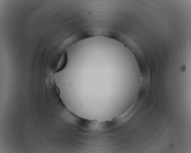 X0000101700142200807241441