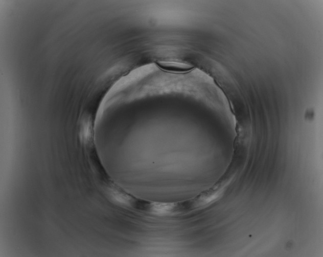 X0000101700143200807241441