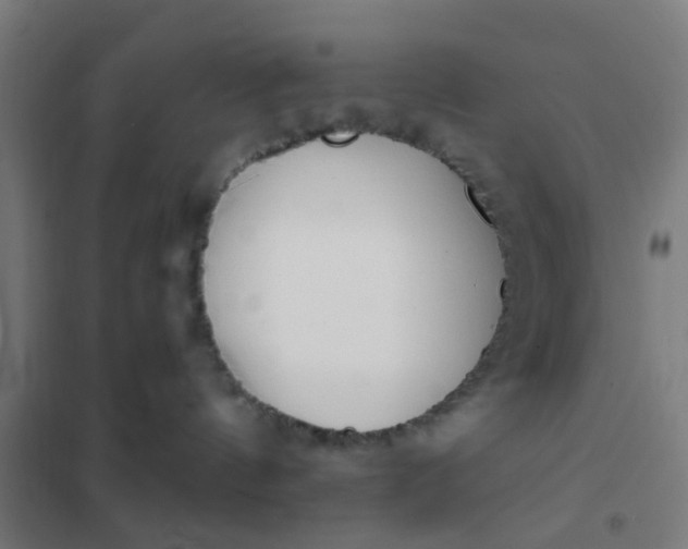 X0000101700144200807241441