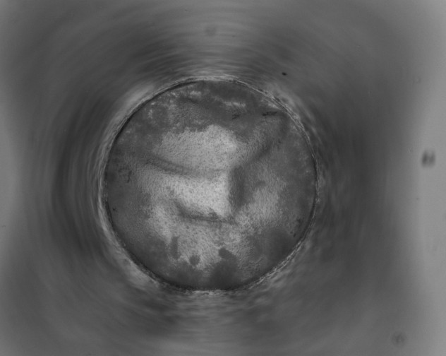 X0000101700145200807241441