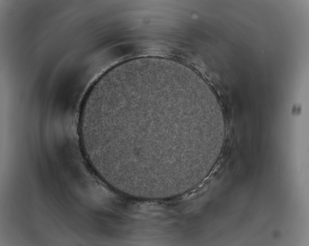 X0000101700146200807241441