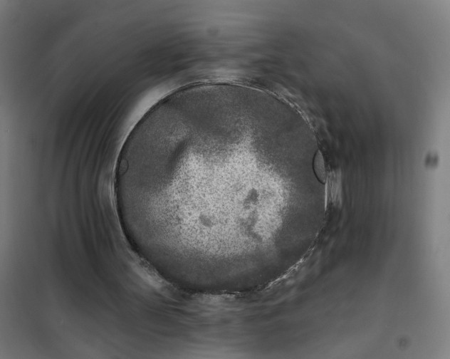 X0000101700147200807241441