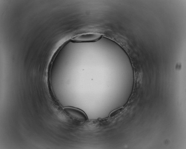 X0000101700148200807241441