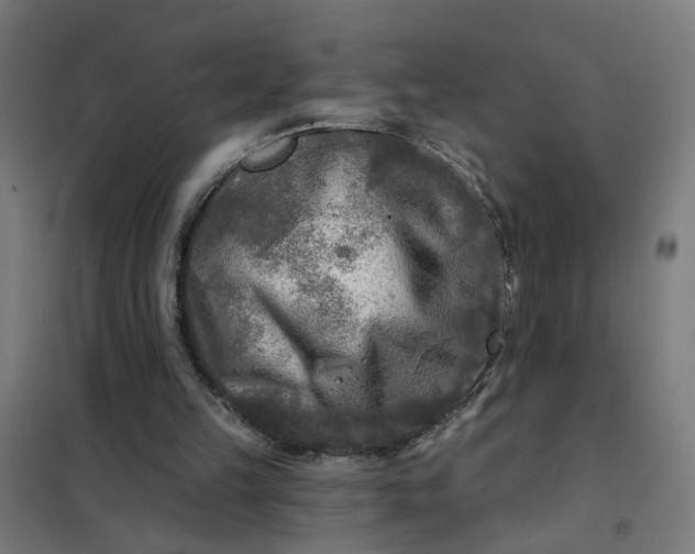 X0000101700149200807241441