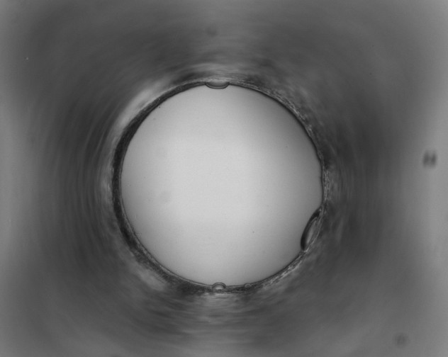 X0000101700150200807241441