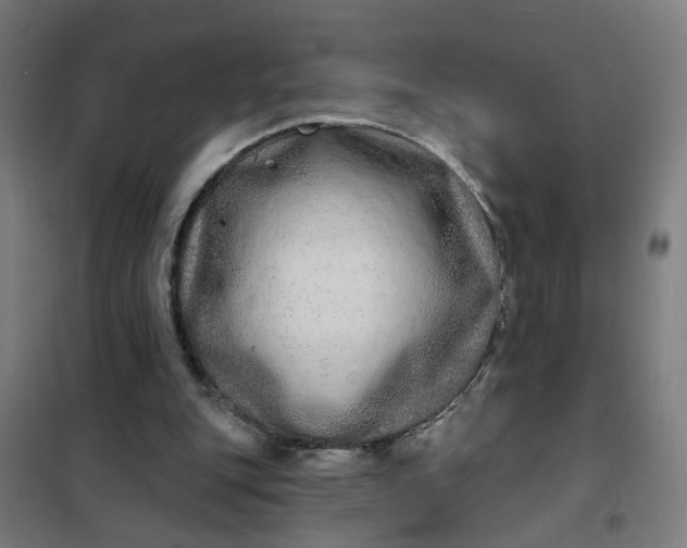 X0000101700151200807241441