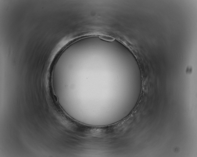 X0000101700152200807241441