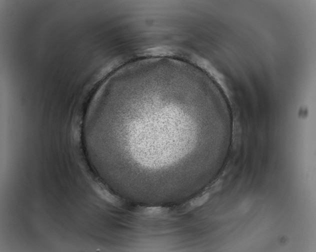 X0000101700153200807241441