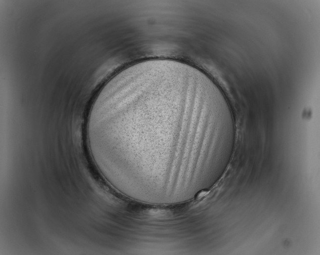 X0000101700154200807241441