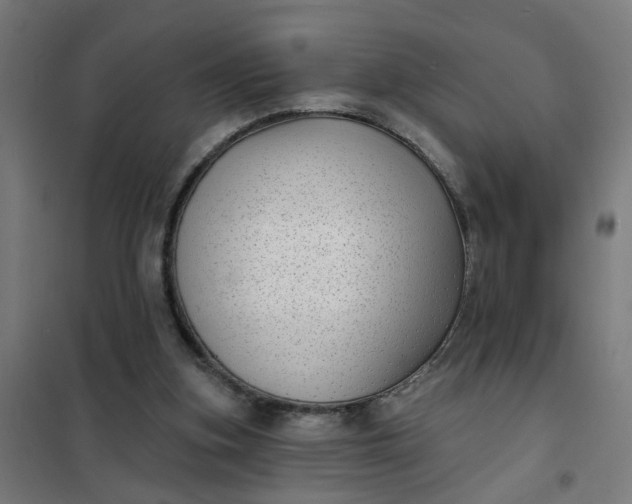 X0000101700155200807241441