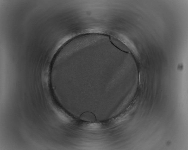 X0000101700156200807241441