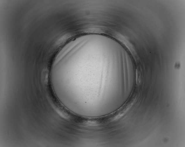 X0000101700157200807241441