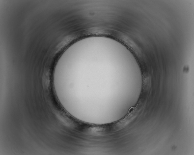 X0000101700158200807241441