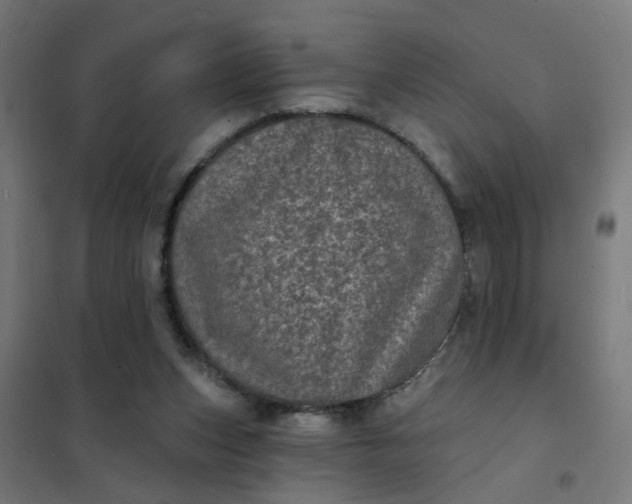 X0000101700159200807241441