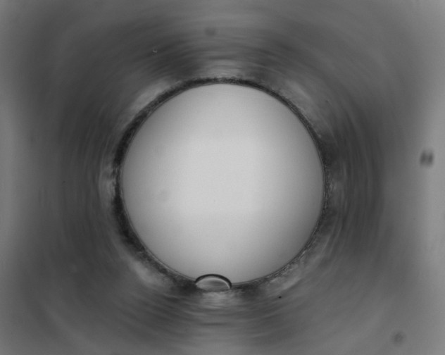 X0000101700160200807241441