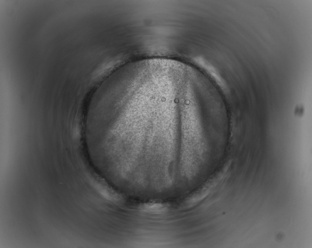 X0000101700161200807241441