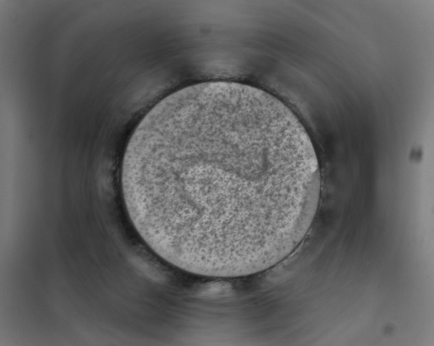 X0000101700162200807241441