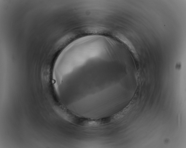 X0000101700163200807241441