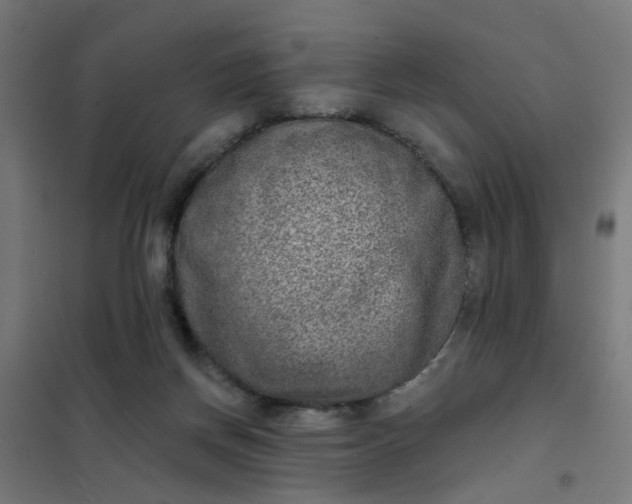 X0000101700166200807241441