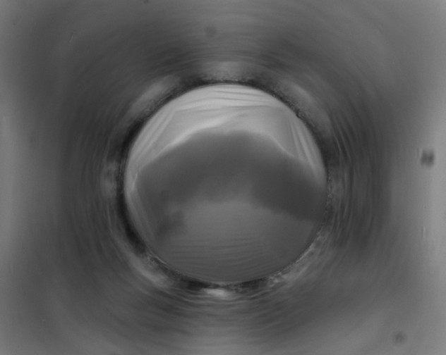 X0000101700167200807241441