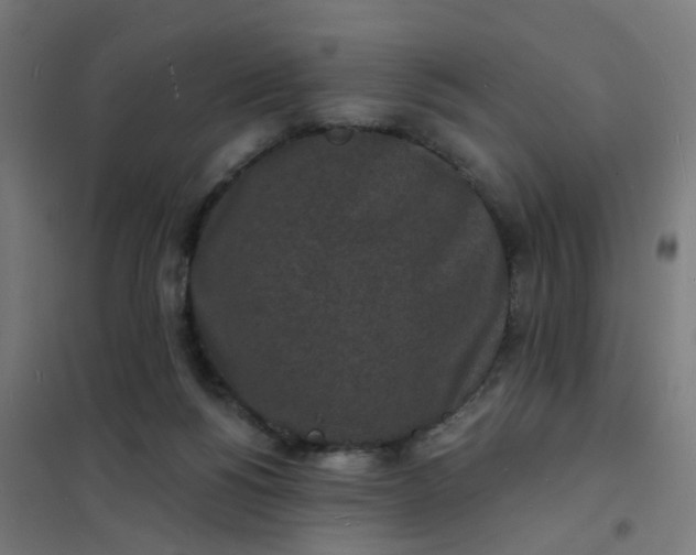 X0000101700168200807241441