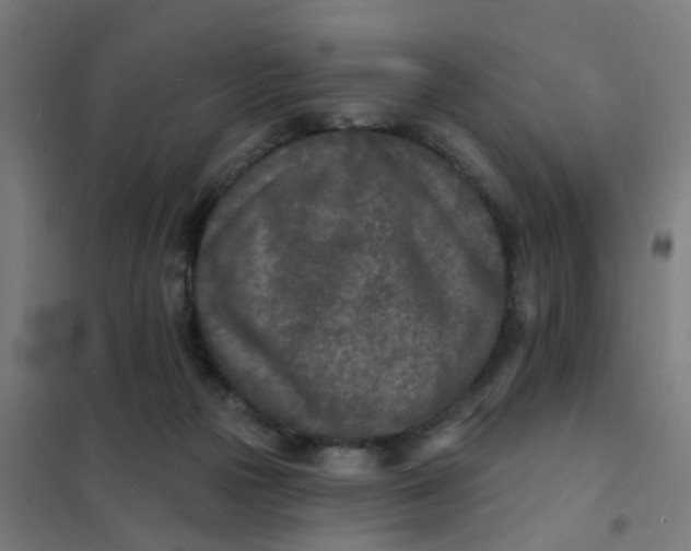 X0000101700169200807241441