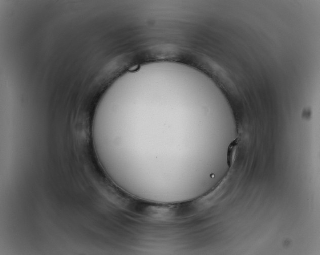 X0000101700170200807241441