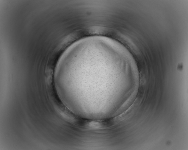 X0000101700171200807241441