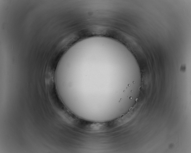 X0000101700172200807241441