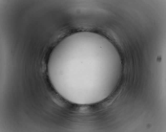 X0000101700173200807241441