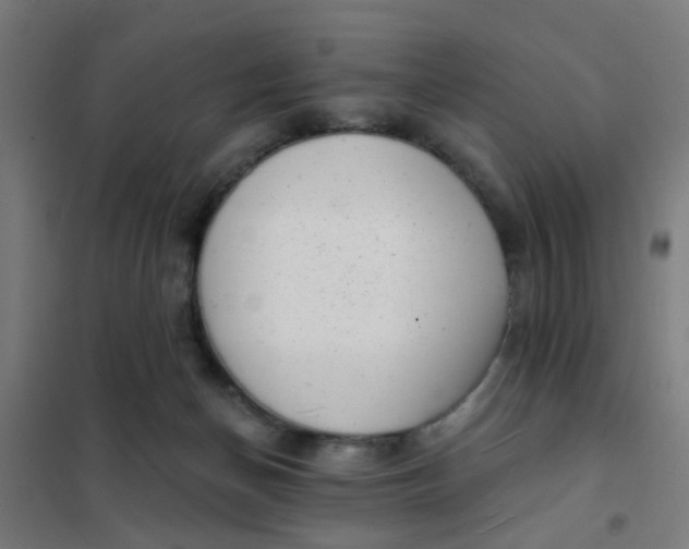 X0000101700174200807241441