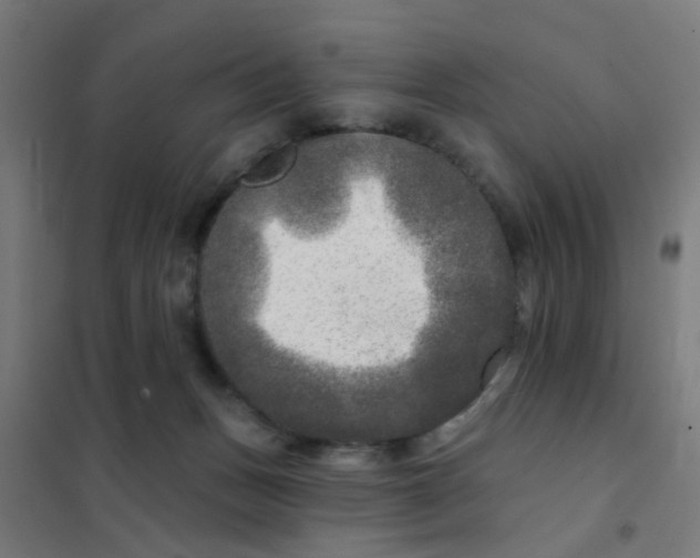 X0000101700175200807241441