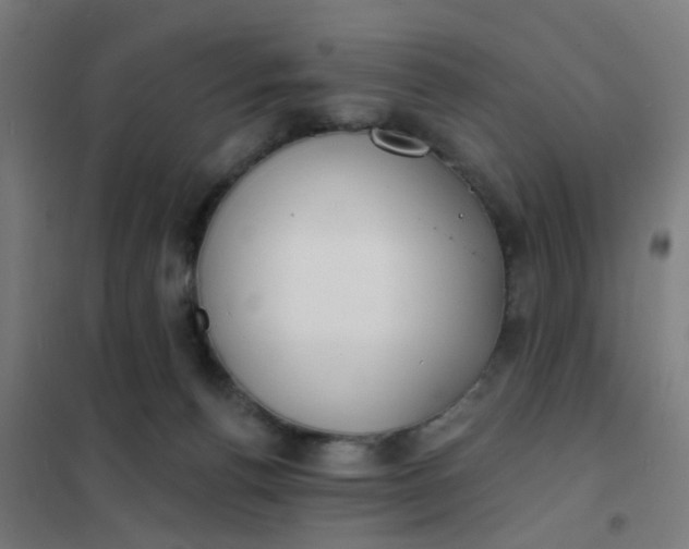 X0000101700176200807241441